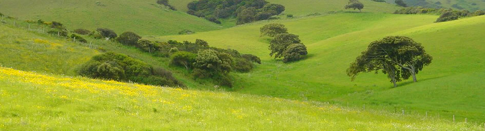 Parco Naturale Biderrosa - Naturschutzgebiet auf Sardinien