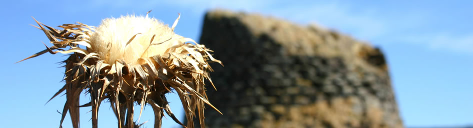 Is Paras auf Sardinien - Nuraghe