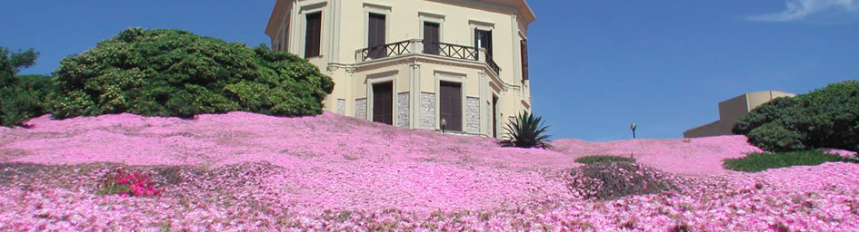 Alghero - Stadt auf Sardinien - Korallen - Korallenriviera